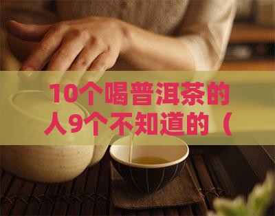 喝普洱茶属于什么茶