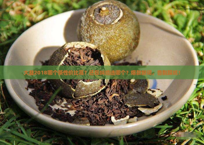 大益2018哪个茶性价比高