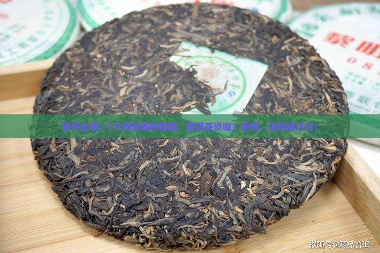 普洱茶冲泡直接喝烫的吗