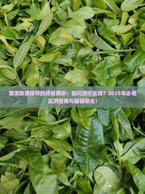 普洱散茶如何保存