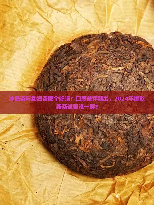 冰岛茶与勐海茶哪个好喝