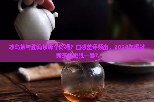 冰岛茶与勐海茶哪个好喝