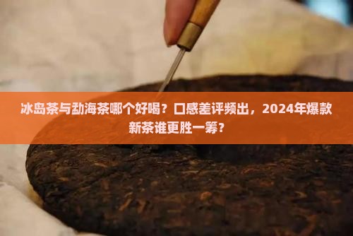 冰岛茶与勐海茶哪个好喝
