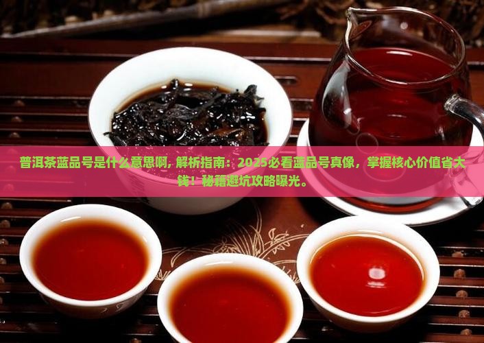 普洱茶蓝品号是什么意思啊