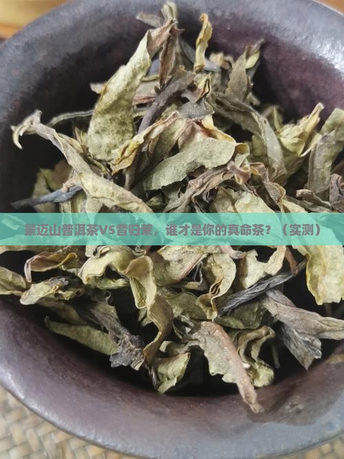 景迈山普洱茶与昔归茉区别