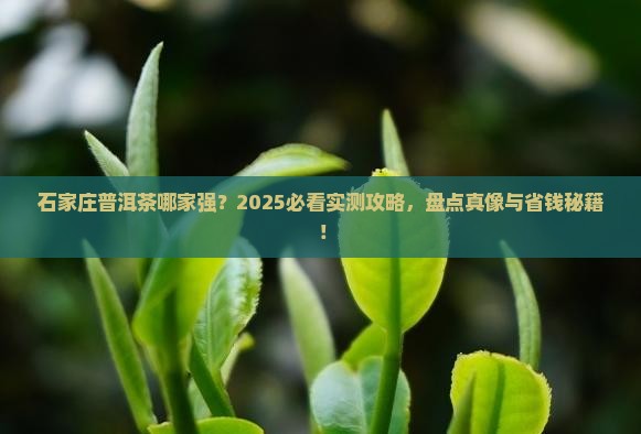 石家庄知名普洱茶品牌排行