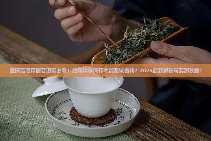 重庆高温存储普洱茶