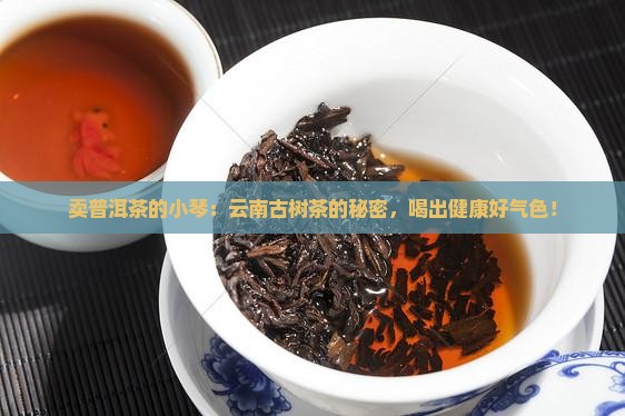 卖普洱茶的小琴