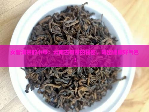 卖普洱茶的小琴