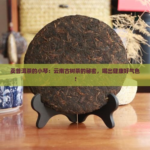 卖普洱茶的小琴