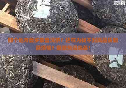 那个地方最多散普洱茶