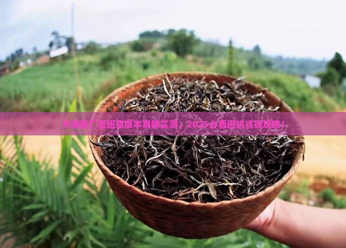 兴海茶厂老班章版本