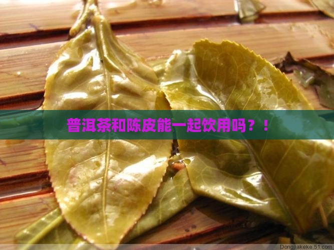 普洱茶和陈皮能一起饮用吗