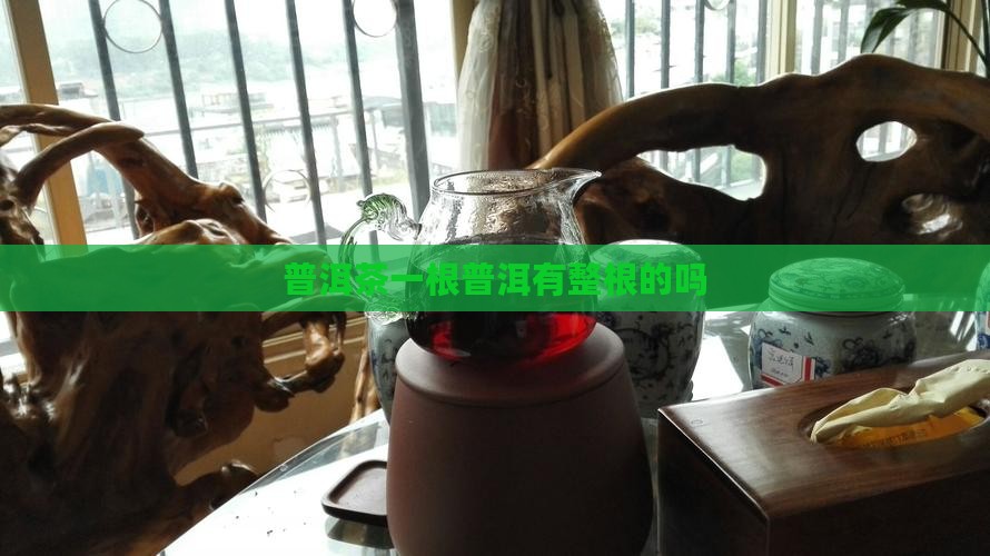 普洱茶有整根的吗