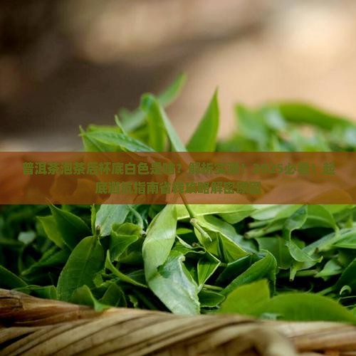 普洱茶泡茶后杯底白色