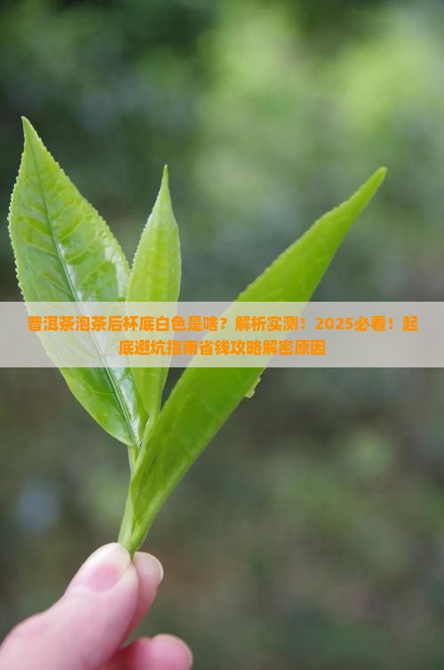 普洱茶泡茶后杯底白色