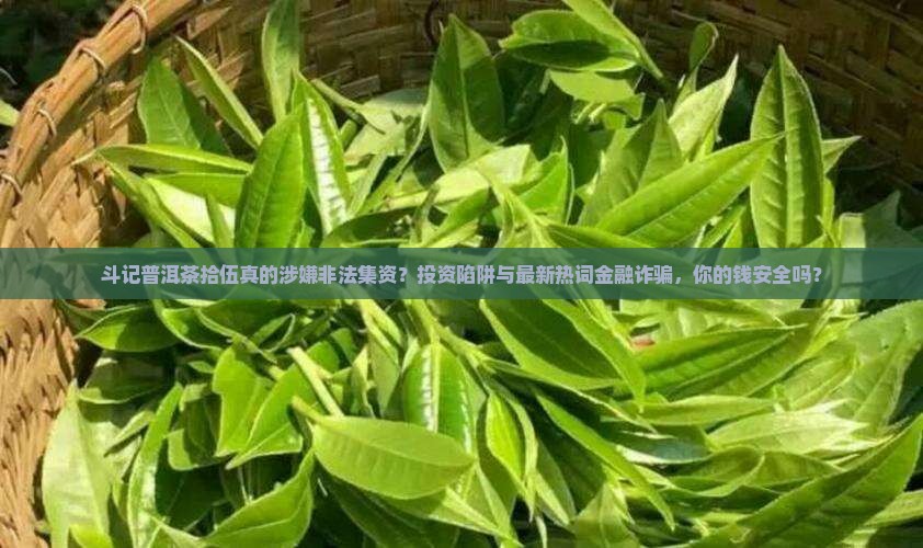 斗记普洱茶拾伍非法集资