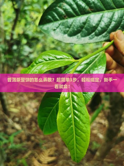 普洱茶整饼的怎么弄散