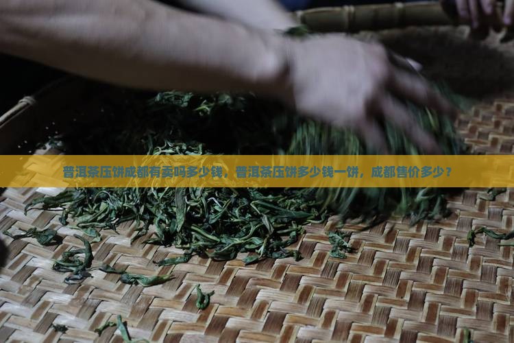 普洱茶压饼成都有卖吗多少钱