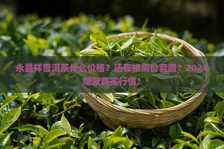 永昌祥普洱茶什么价格