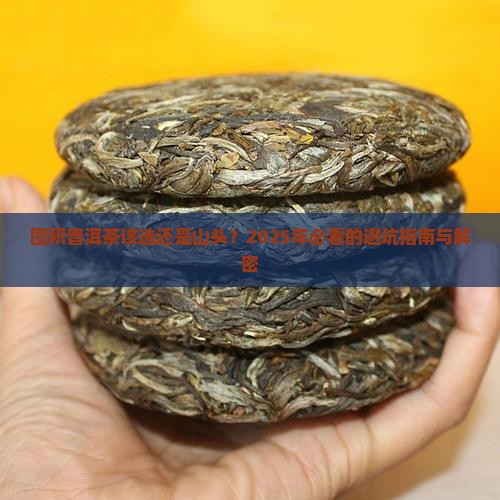 囤积普洱茶选品牌还是山头