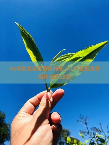 92年有名老普洱茶价格
