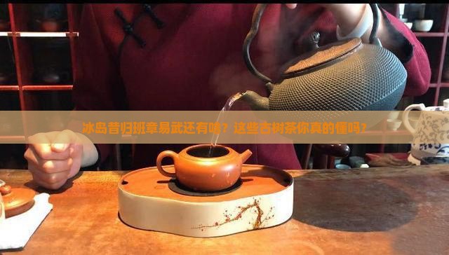 冰岛昔归班章易武还有啥