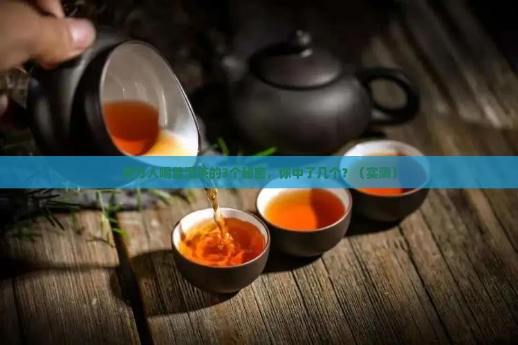 南方人喜欢喝的普洱茶