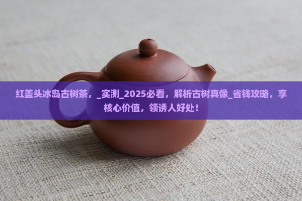 红盖头冰岛古树茶