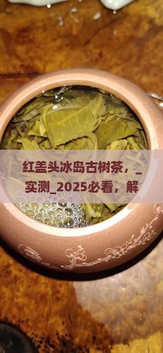 红盖头冰岛古树茶