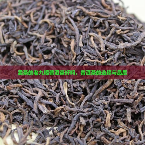 卖茶的老九喝普洱茶好吗