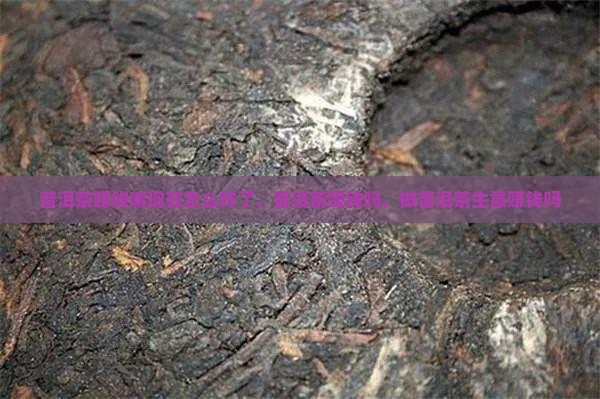 普洱茶赚钱嘛现在怎么样