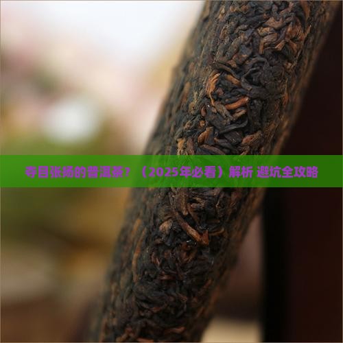 夺目张扬的普洱茶