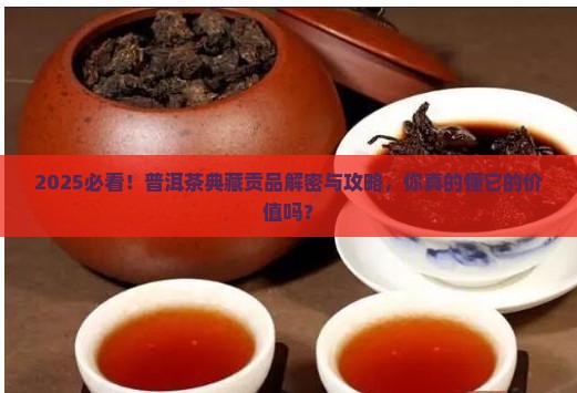 普洱茶之典藏贡品