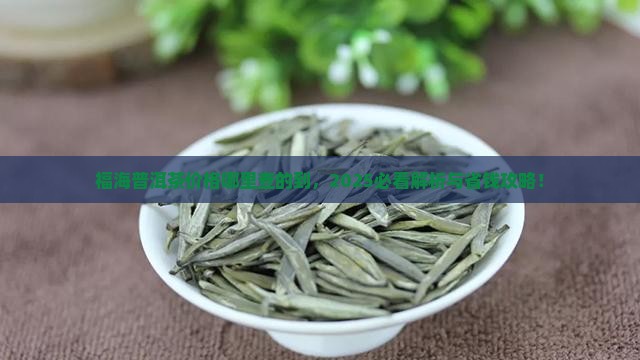 福海普洱茶价格哪里查的到