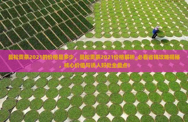 曼松贡茶2021的价格是多少