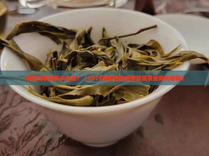 喝普洱茶放多少合适