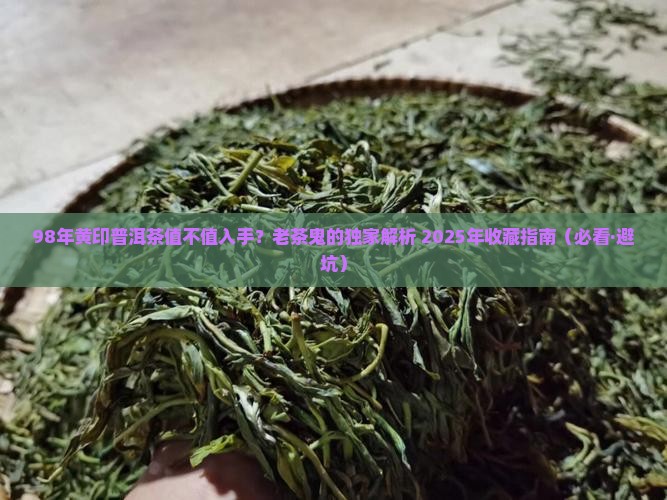 98年黄印普洱茶