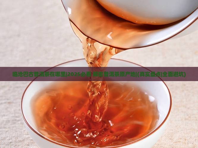 临沧巴古普洱茶在哪里