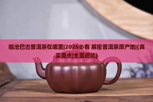 临沧巴古普洱茶在哪里