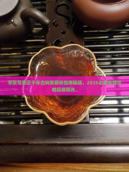 宇欣号景迈千年古树茶