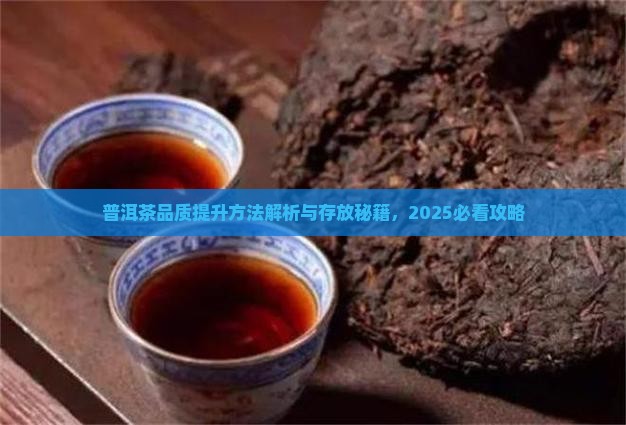 普洱茶存新茶品质如何提升