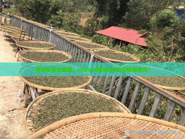 普洱茶美女直播