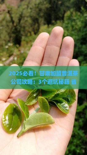 甘肃加盟普洱茶公司