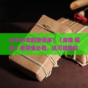 20000年的普洱茶