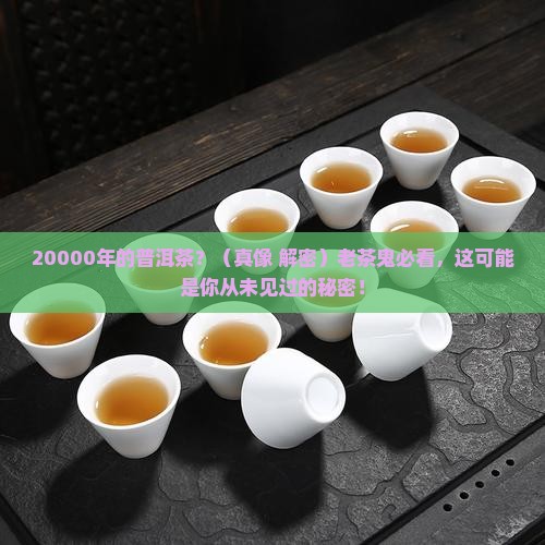20000年的普洱茶