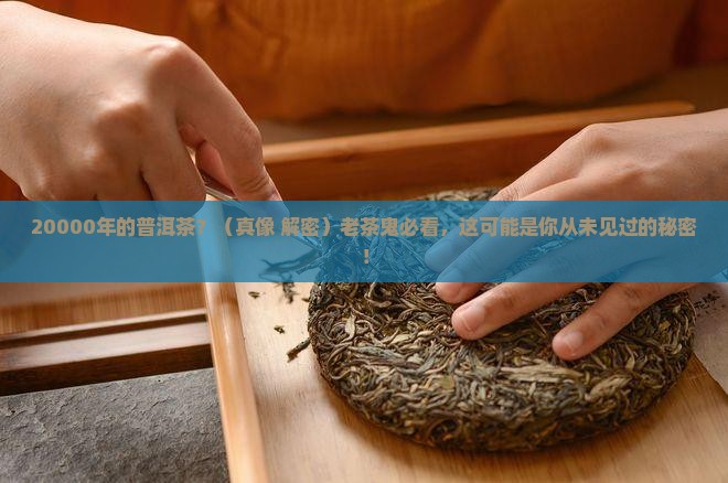 20000年的普洱茶