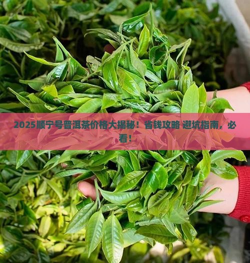 顺宁号普洱茶价格