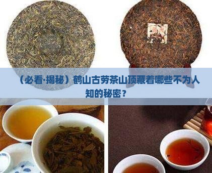 鹤山古劳茶山顶