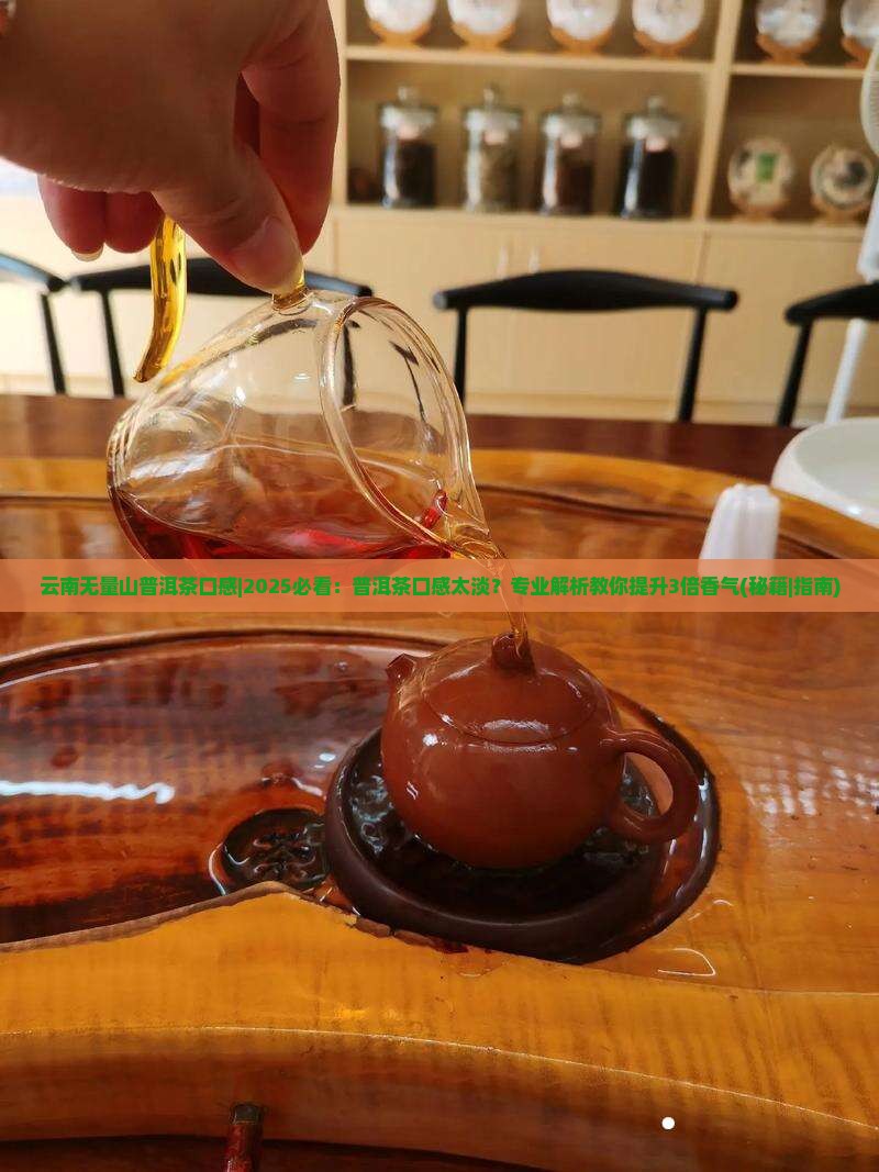 云南无量山普洱茶口感